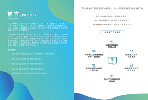 互聯網公司畫冊 點瑞科技