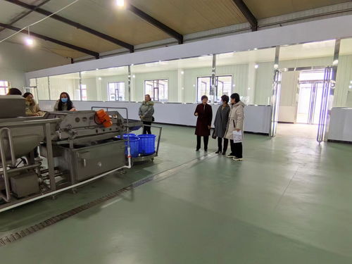 生命科學系參加2023山西省設施蔬菜機械化生產現(xiàn)場觀摩會