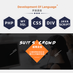 精品企業網站公司網站企業官網公司官網定制開發制作